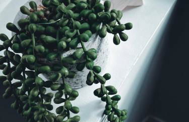 Market Haven Kingsize Studios Town Centre with Netflix, Business & Leisure travellers, multiple units available - Photo 20