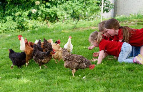 Almerhof - Waldferienhof Almer - Foto 3