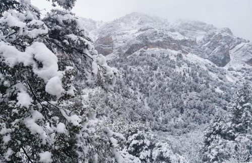 Saluda Alta - Foto 64