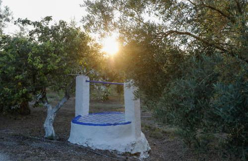 Cortijo Botánico el Cerro - Foto 12