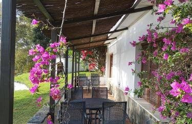 Casas Rurales Los Molinos - Foto 6