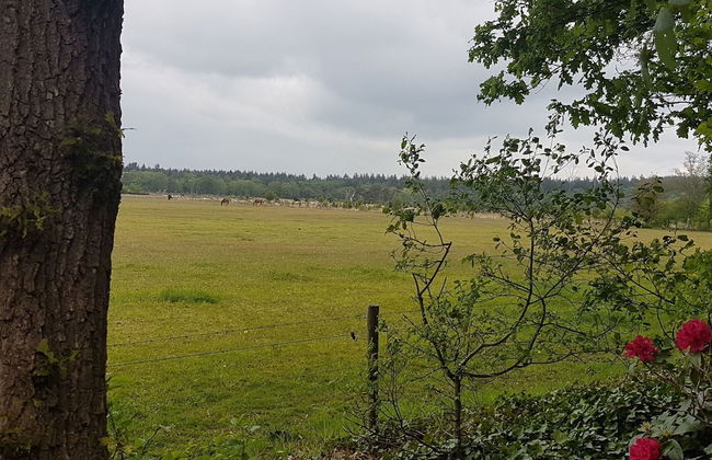 Restful Holiday Home in Lemele - Foto 26