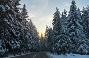 Skałkowy Kąt - Foto 25