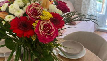 Iago city,appartement spacieux 2 chambres, hyper centre, aéroport et gare à proximité - Foto 5