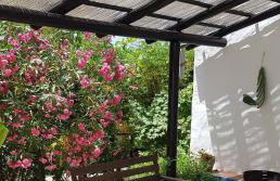 Quinta dos Cochichos – Country Houses - Foto 94
