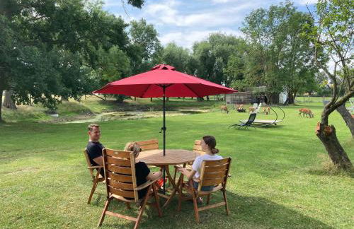 Gutshaus Pinnow - Foto 18