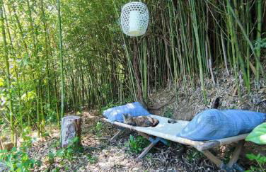 Clède lovée dans la forêt, sauna & bain nordique - Foto 25