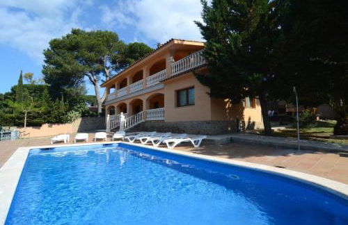 Museu Baixos - Foto 4