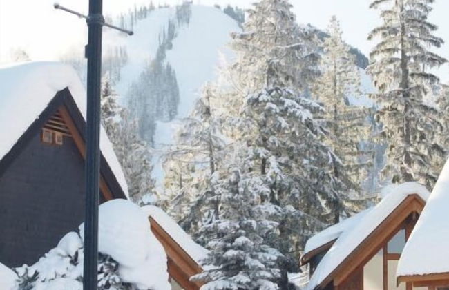 Mountain Town Properties The Lofts 1 - Foto 6