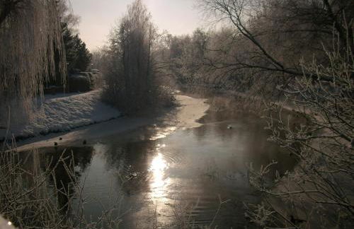 Ferienwohnung Hainbuche Lübben im Spreewald - Foto 22