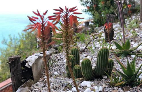 VILLA FUENTI BAY -Amalfi Coast- - Foto 35