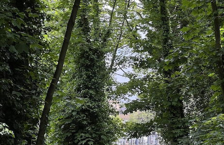 Cozy 4-bed Cottage Garden Walk to River Thames - Foto 8