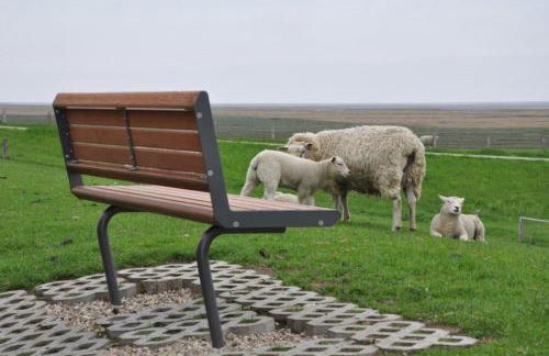 Das Koogsbauernhaus - Foto 21