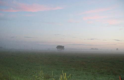 Hofboddenblick - Foto 27