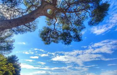 LE REGORDANE - Appartement 4 personnes - Centre WiFi Cosy - Foto 42