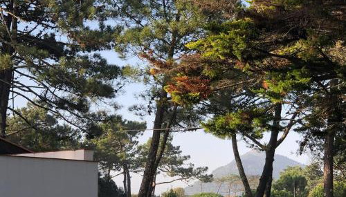 Casa de Santo António Moledo - Foto 3