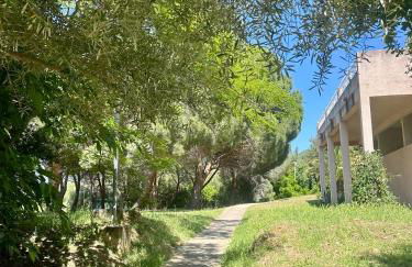 Rundinelle di Saint-Florent - Foto 13