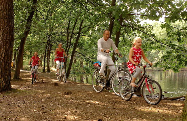 Modern Lodge With Dishwasher, Near Helmond - Photo 37