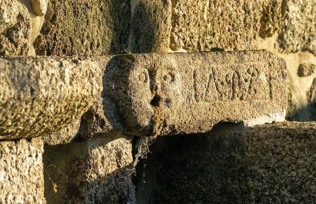 Quinta de Cypriano - Wine & Nature - Foto 76