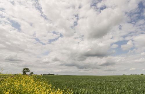 Pipistrelle Cottage - Foto 19