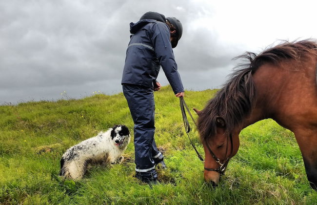 Vorsabær 2 Holiday Home - Foto 14