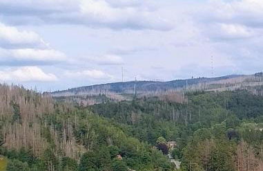 Feinwald Highline Altenau - Foto 6