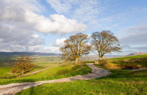 Moor Tops by Birch Stays - Photo 30