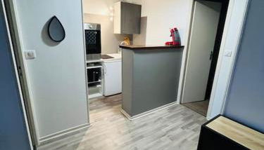 Appartement T2 - Photo 5, stove, minibar