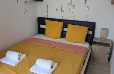 Appart T1bis 31m2 Blagnac proche Tram - Foto 1