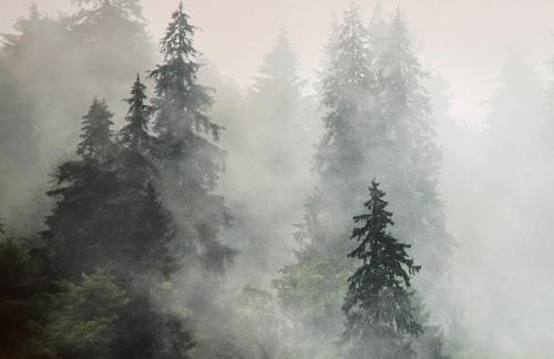 Der Schwan 8 & 10 - zentral- stilvoll - Foto 14