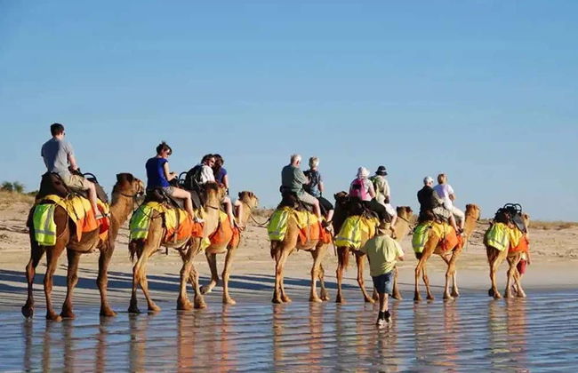 Djerba Lagoon Camel Ride - Foto 2