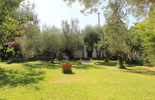 La Casa Dell'antiquario - Foto 6