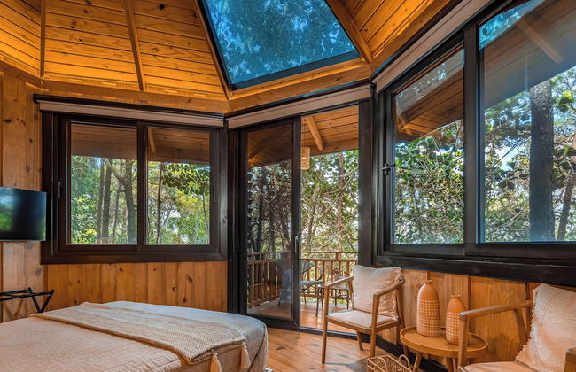 The Grand Forest Jarabacoa - Photo 12