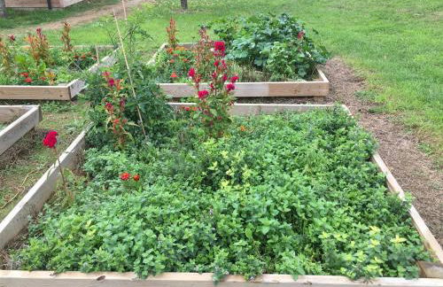 DOMAINE D'ELUSA - Photo 56