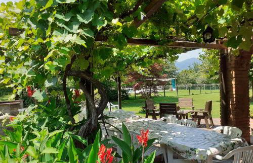 Agriturismo Chioi - Foto 6