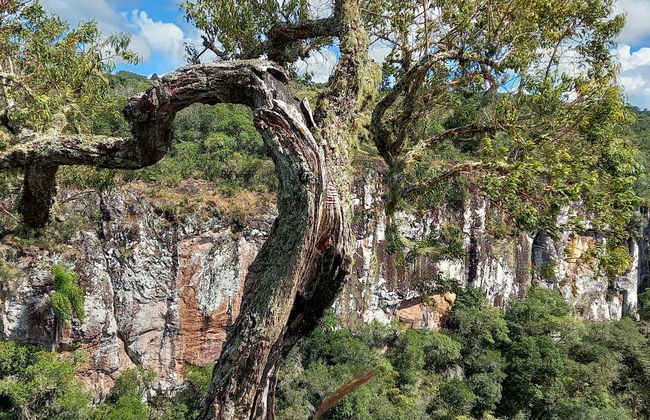 Trekking nei campi di Criúva - Foto 3