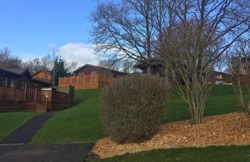 Lukes Lodge, where the fun begins, Woodland View, Hot Tub, dog friendly - Foto 25