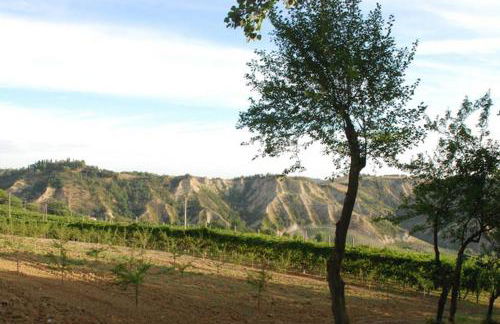 Villa immersa nei campi - Foto 50