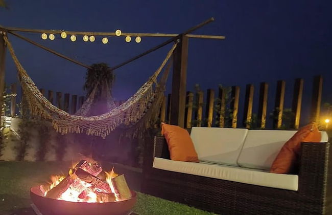 Rosa Internacional - Surfland - Foto 54