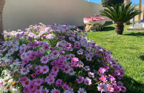 Laguna del Flamenco - Foto 17