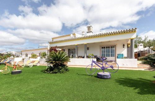 Monte Velho - Foto 44