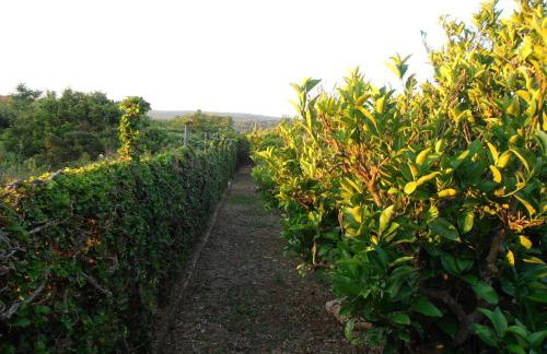 Jenny`s House - Photo 28