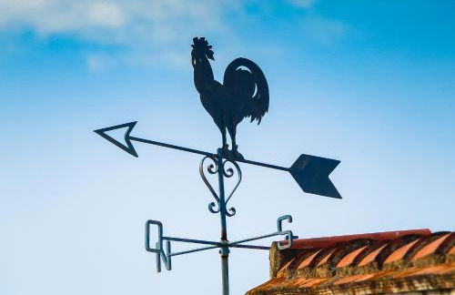 El Penell Estudi Mestral - Foto 11