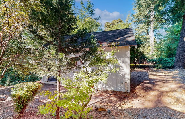 Rouge Cobb Mountain Cabins - Photo 50