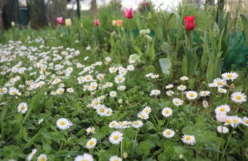 Ottimo punto per visitare la Toscana - Foto 19