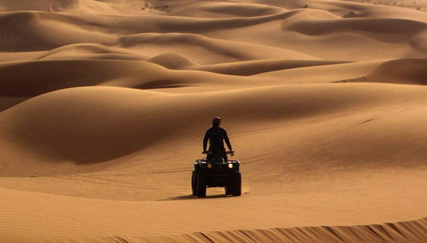 Safári Matinal e Passeio de Quadriciclo - Foto 4