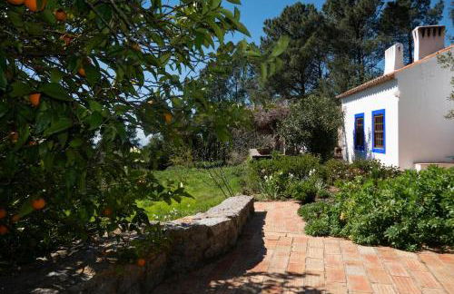 Quinta Da Relva - A traditional farmhouse in a stunning location - Foto 50