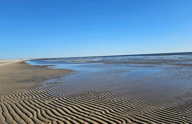 5 Star Holiday Home in Frorup - Foto 37