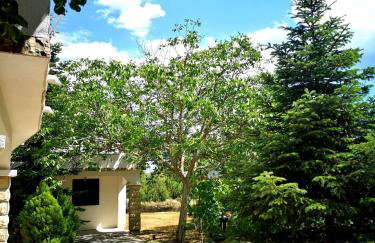 Holiday Home Jaga - Foto 68