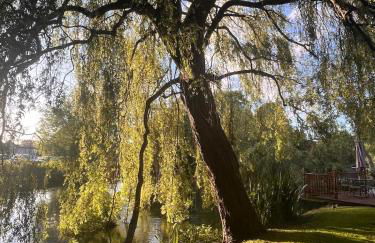 Riverside Studio - Foto 13